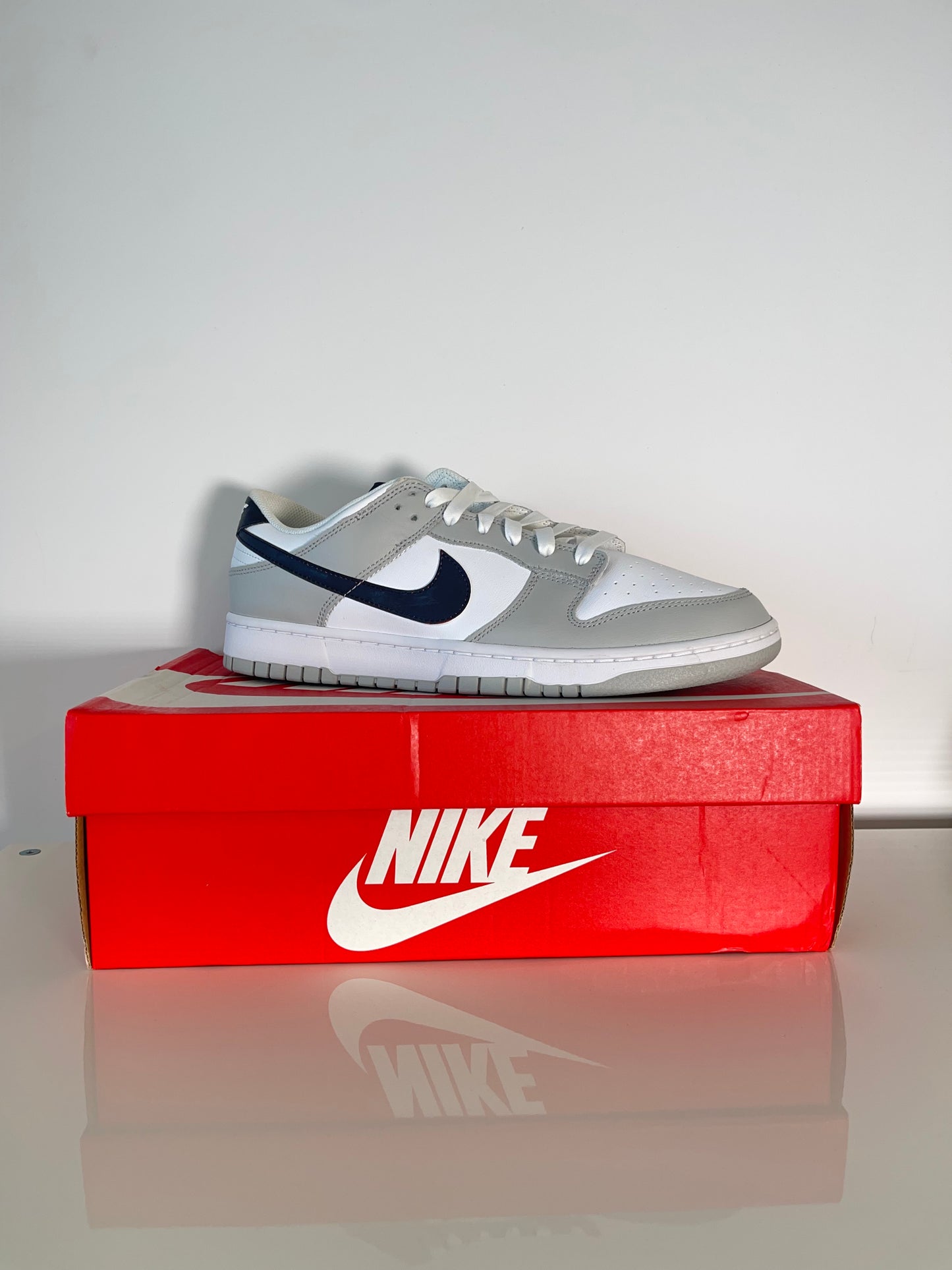 Nike Dunk Low Retro SB